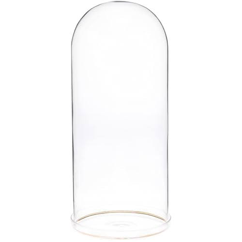 Plymor 5.5" x 13" Glass Display Dome Cloche with Gold Rim (Clear Glass Tray Base) - size: 5.5" x 13"