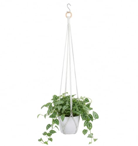 Small Macrame Plant Hangers with S Hook, White Hanging Plant Holders