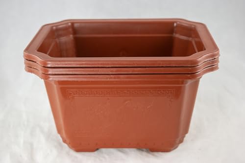 Yubonzai Rectangular Orange Plastic Bonsai Training Tall Pot, Cactus & Succulent Planter - 7.25" to 17.5" (3PCS 8.75"x 7"x 4.75") - size: 3PCS 8.75"x 7"x 4.75"