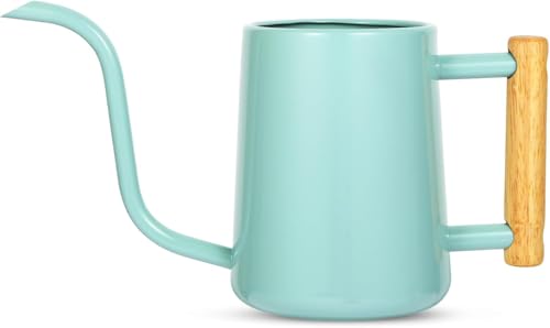 Watering Can Indoor Plants, 35 oz/1000 ml Metal Stainless Steel Watering Can Pot with Long Spout for Indoor House Plants Bonsai Outdoor Garden Flower Decorative (Green - color: Green