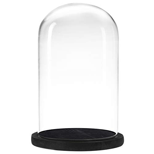 MyGift Bell Jar Glass Cloche Black Wood Base 10 Inch Display Dome | Protects Collectibles, Ideal for Florals, Candles & Figurines, Elegant Tabletop Showcase for Home & Event Displays - color: Black