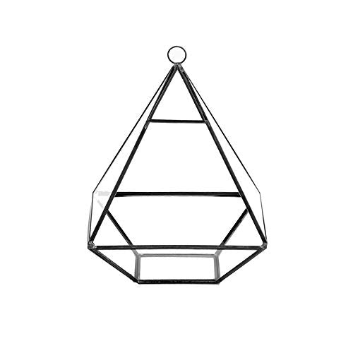 WGV Hanging Geometric Planter Terrarium Width 6" Height 8" Clear Glass Black Frame DIY Succulent air Plant Miniature Fairy Garden Windowsill Decor Raised Pyramid 1 Piece - color: Black, size: Wide Geo-Pylon