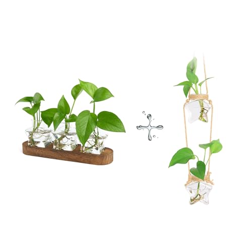 XXXFLOWER Plant Propagation Station with Wooden Stand+Wall Hanging Propagation Station