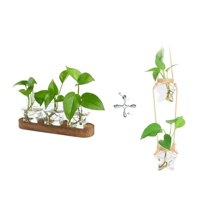 XXXFLOWER Plant Propagation Station with Wooden Stand+Wall Hanging Propagation Station