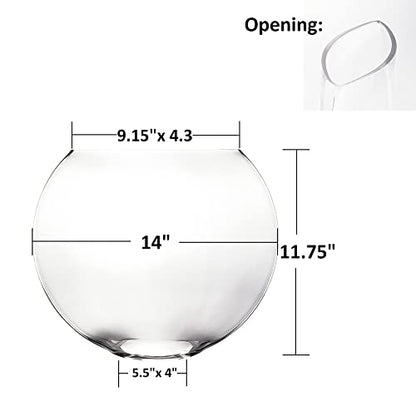 CYS EXCEL Glass Moon Vase Oval Bowl (H:11.75" L:14") | Multiple Size Choices Round Flower Vase Centerpiece | Plant Terrarium Bowl Vase - size: H-11.75" L-14"
