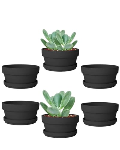 vensovo 3.7 Inch Black Terracotta Succulent Pots with Saucers, 6 Pack - color: Black, size: 3.7 Inch