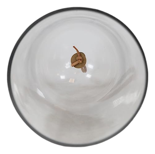 Ebros Gift Large 9.75" High Decorative Sleek Clear Glass Apothecary Cloche Bell Jar Centerpiece Dome Mouth Blown Glass Display Terrarium Case For Displaying Succulents Plants Sculpture Decors