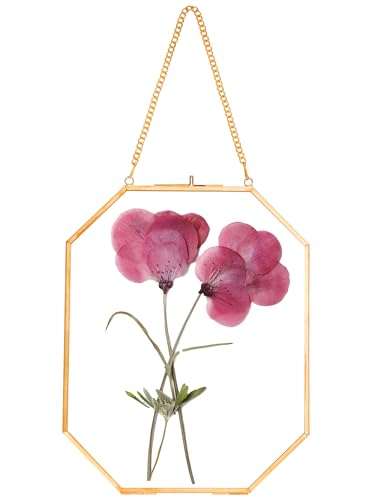 REDHUGO Pressed Flower Frames, Glass Floating Frames for Display Dried Plant Specimen Picture, Hanging Brass Photo Frame with Chain, Double Clear Glass, Vintage Wall Decor, Octagon, Gold, 8x10 Inches - color: Gold, size: 8 X 10 inches