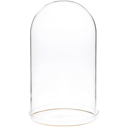 Plymor 5.5" x 10" Glass Display Dome Cloche with Gold Rim (Clear Glass Tray Base) - size: 5.5" x 10"