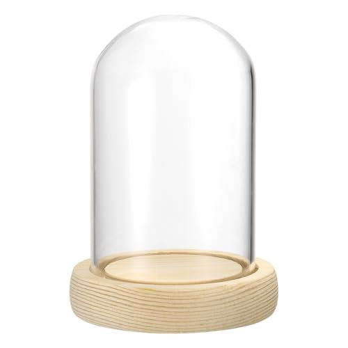 uxcell Cloche Glass Dome, 3.9" x 2.4" Decorative Glass Display Bell Jar, Glass Dome Cloche with Wooden Base for DIY Flower Craft, Collectibles Specimens Plants Dustproof