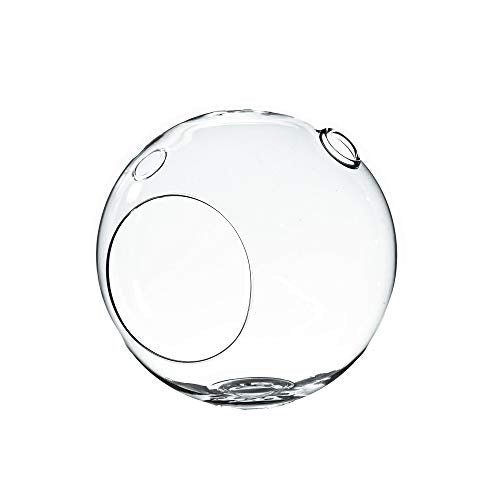 WGV Planter Terrarium, Width 6" Height 6.5", Clear Globe Glass Vase Container Orb with Two Side Opening, DIY Air Planter, Votive Candle Holder for Decor, 1 Piece - size: 6" Double Opening Orb