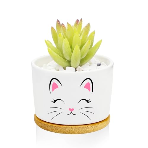 1Pcs Pink Cat Succulent Pots with Drainage and Bamboo Tray, Ceramic Pot - style: Cat Pink
