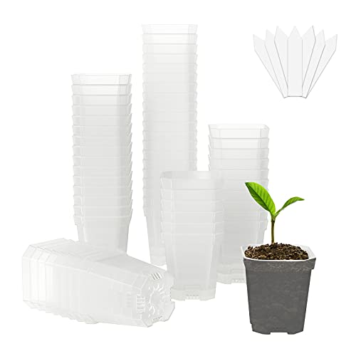 60Pcs 3" Clear Nursery Pot with 100Pcs Plant Labels, Square Planting Pots