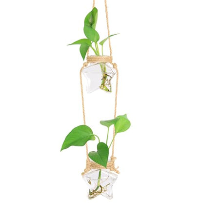 XXXFLOWER Plant Propagation Station with Wooden Stand+Wall Hanging Propagation Station