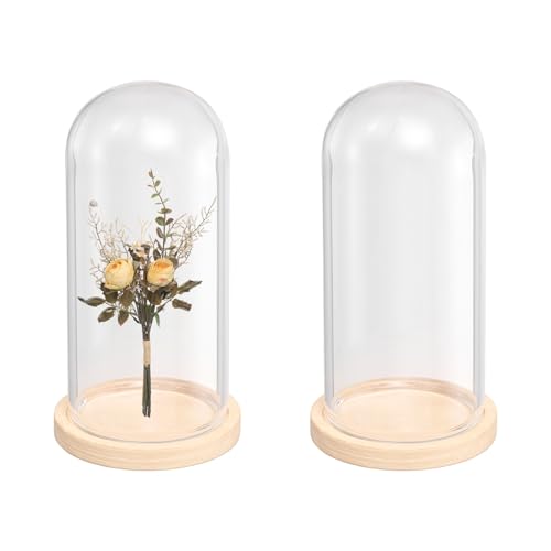 uxcell 2pcs Glass Display Dome 1.4"x3.3" Clear Cloche Glass Dome Bell Beige - color: Beige, size: 1.4x3.3"
