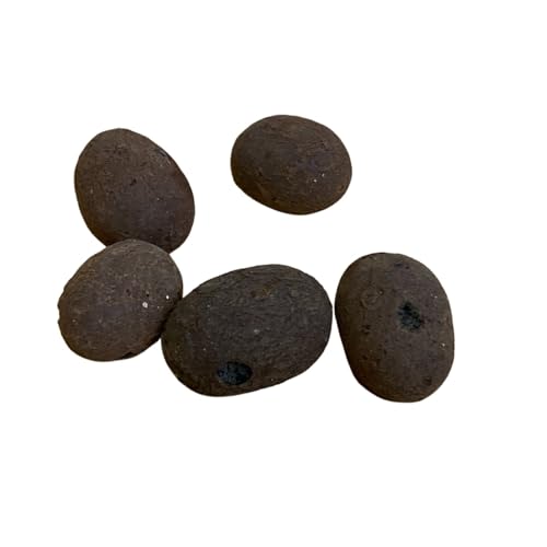 Exotower Hydro Pebbles – LECA