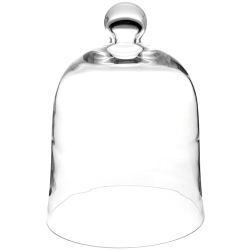 Plymor 10" x 13" Bell Jar Glass Display Dome Cloche (Interior Size 9.5" x 10.5") - size: 10" x 13"