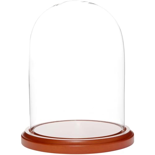Plymor 5.5" x 8" Glass Display Dome Cloche (Walnut MDF Base) - color: Walnut Mdf Base