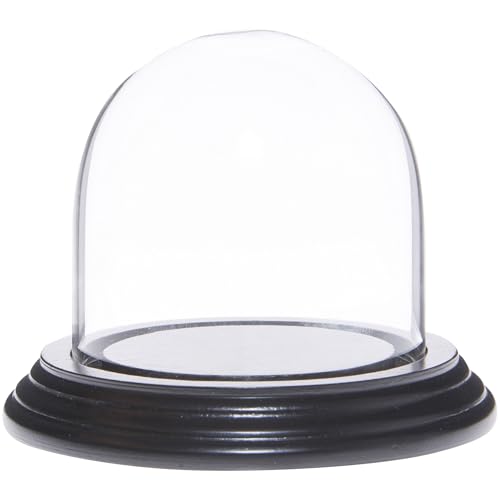 Plymor 3" x 3" Glass Display Dome Cloche (Black Wood Veneer Base) - color: Black Wood Veneer Base