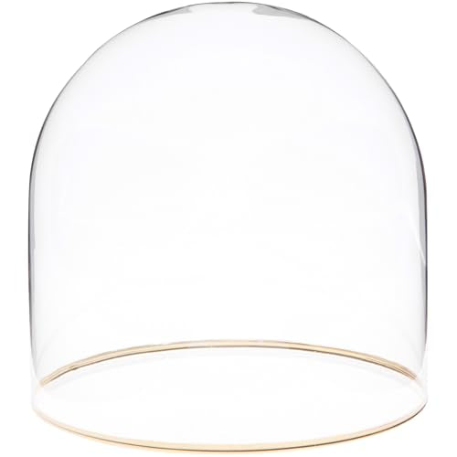 Plymor 5.5" x 5.5" Glass Display Dome Cloche with Gold Rim (no Base) - size: 5.5" x 5.5"