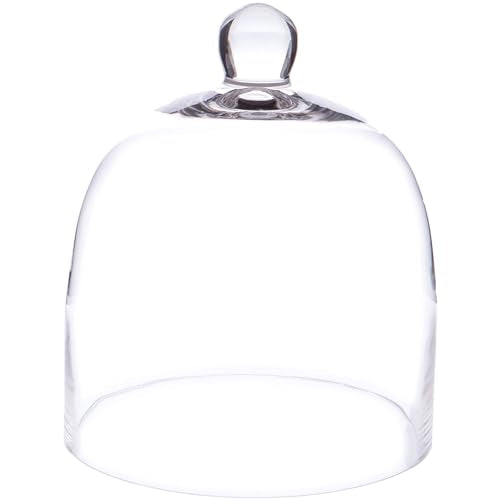 Plymor 7.875 inch x 9.5 inch Bell Jar Glass Display Dome Cloche (Interior Size 7.5" x 7.5") - size: 7.875" x 9.5"