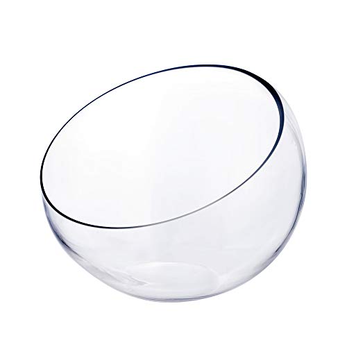 CYS EXCEL Glass Slant Cut Bubble Bowl (H-9" W-11") | Multiple Size Choices Slanted Globe Bowl Terrarium | Round Flower Vase Centerpiece - size: H-9" W-11"