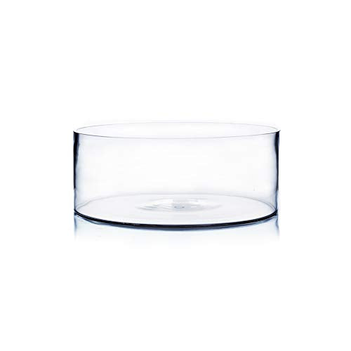 WGV Cylinder Vase, Open Width 10", Height 4", Clear Flat Pan Style Container, Planter Terrarium, Floral Centerpiece for Wedding Party Event, Home Office Decor, 1 Piece - size: 10"x4"H