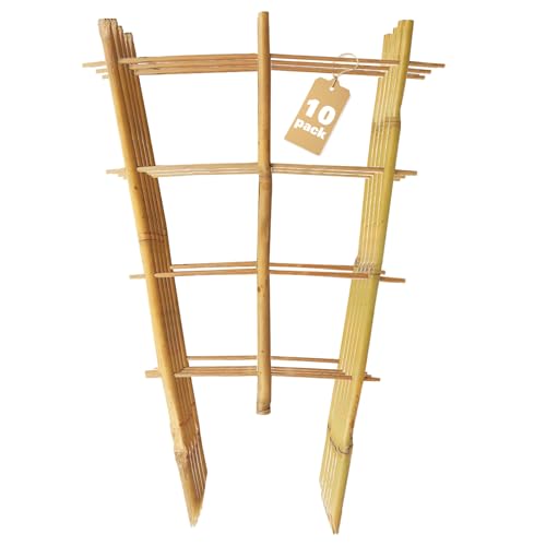 Bamboo Trellis 10 Pack, 36 Inches/3FT S3 Natural Bamboo Plant Fan Stakes, Fan-Shaped Plant Support Stand for Orchid Vines, Monarchs, Ivy and Other Plants Climbing, Help Plant Growth - size: 3ft Fan Shaped, Pack of 10