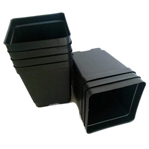 Square Quart Nursery Pots - 4.25" Square x 4.9" Deep (100) - Black - Outdoor