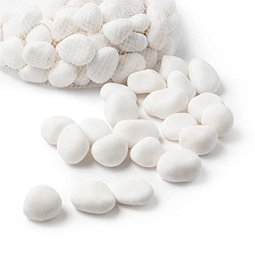 Royal Imports River Rocks, Aquarium Gravel – White 1"- 1.5" - 5 lbs | Decorative Ornamental Vase Filler Pebbles for Potted Plants, Terrariums, Vases, Succulents, Fish Tank Gravel, DIY & Crafting - size: Medium - 5 lbs, style: White