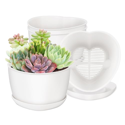 Succulent Pots Heart-Shaped Shallow Herb Planters with Drainage Hole - 4 Packs Cactus Planter for Home Office Garden Plants Pot Present - Plants Not Included (Off White) - size: Heart 4 Pcs