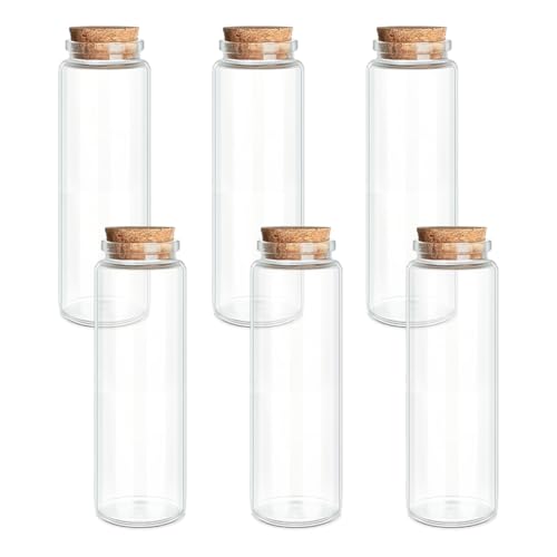 JIUYUE 6-Pack 3.04 oz (90ml) Small Glass Bottles with Cork Stoppers | Small Glass Jars for Spell Bottles, Potion Bottles, DIY Party Favors, Travel Memories & Plant Propagation - color: 6pcs