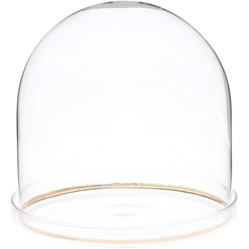 Plymor 5.5" x 5.5" Glass Display Dome Cloche with Gold Rim (Clear Glass Tray Base) - size: 5.5" x 5.5"