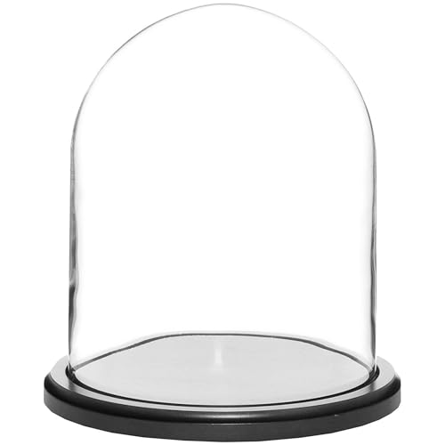 Plymor 8" x 10.25" Glass Display Dome Cloche (Black MDF Wood Base) - color: Black Wood Base