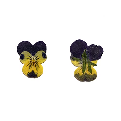 YUNZHI Natural Pansy Dried Pressed Flowers for Resin, Dry Flower for Candle,Epoxy Resin,Soap Making,Scrapbooking,DIY Art Crafts,Painting 12pcs/Pack (Pansy Yellow Purple) - color: Pansy Yellow Purple
