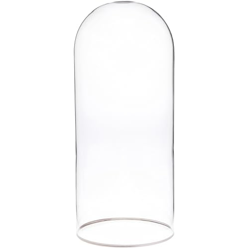 Plymor 5.5" x 13" Glass Display Dome Cloche with Silver Rim (no Base) - size: 5.5" x 13"