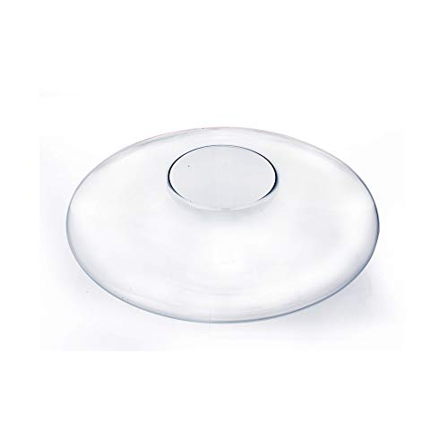 WGV Bowl Glass Vase, Diameter 12", Height 6", (Multiple Sizes Choices) Clear Flat Oval Bubble Floral Planter Terrarium for Wedding Event Home Decor, 1 Piece (VBW1506) - size: Flat Oval Bubble Bowl 12"D