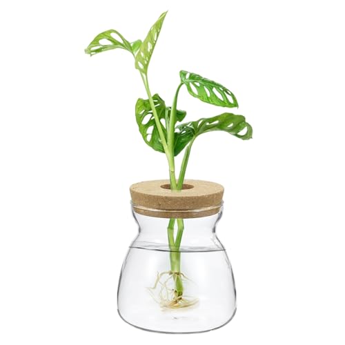 M METERXITY 1 Pack Glass Planter Terrarium with Wooden Cover, Desktop Plant Propagation Station Clear Vase for Hydroponic Plants Propagation/Home Garden Decor/Plant Lover [4.45'' x 4.65'']