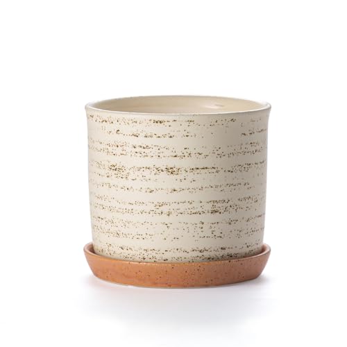 5.8 Inch Ceramic Plant Pot with Drainage Hole & Separate Saucer | Indoor/Outdoor Planter with Tray - Brush Flowerpot for Home & Office - color: Brush Color, size: 6 inch