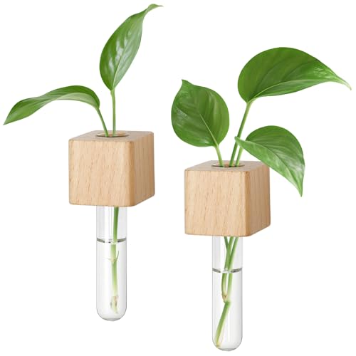 Magnetic Test Tube Flower Vases for Refrigerator, Set of 2 - color: 2 Pcs Wood