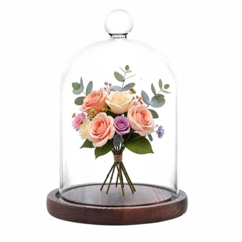 Glass Cloche Dome Bell Jar Display Case with Small Ball Top and Wooden Base for Plant,Collectibles (Medium:4.7 * 6.3 inches) - size: Medium:4.7*6.3 inches