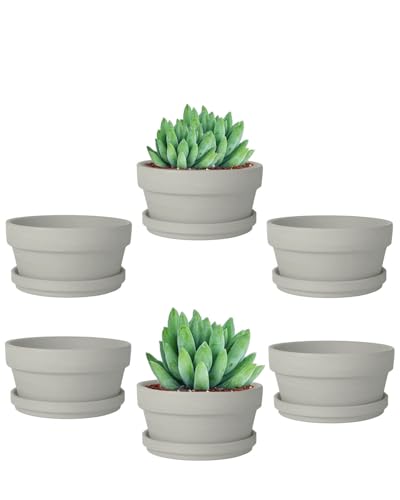 vensovo 4.5 Inch Grey Terracotta Succulent Pots with Saucers, 6 Pack - color: Gray, size: 4.5 Inch