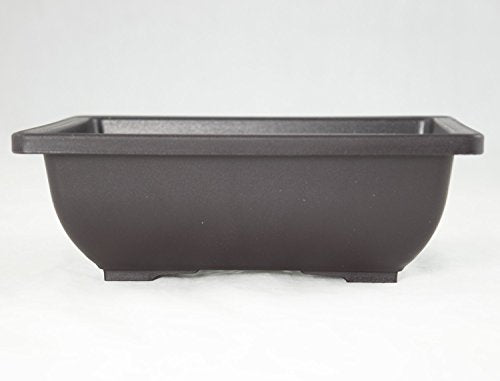 2 Sets Rectangular Plastic Cactus & Succulent Planter, Bonsai Training Pot + Tray - 6.25"x 4.75"x 2"