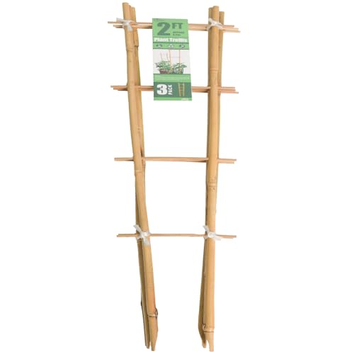 Bamboo Trellis 2FT 3 Pack, S2 Natural Bamboo Plant Ladder Stakes 24 Inch, Fan-Shaped Plant Support Stand for Orchid Vines, Monarchs, Ivy and Other Plants Climbing, Help Plant Growth - size: Ladder Shaped, Pack of 3