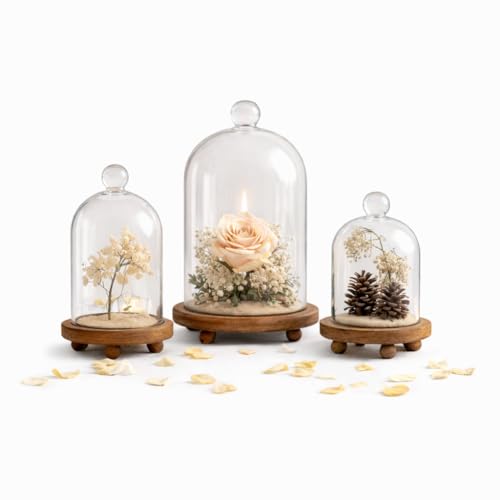 KMwares 3pcs Glass Bell Shape Dome Set (5.7"/4.9"/4.3") | Cloche Display with Wood Base | Empty Domes, Not Included Decorations