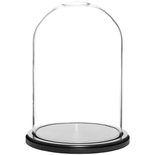 Plymor 8" x 12" Glass Display Dome Cloche (Black MDF Wood Base) - color: Black Wood Base