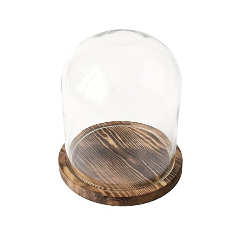 Dome with Base Glass Cloche Glass Cloche Bell Jar Display Dome with Wooden Base 6" x 7" (6 * 7)(1 Pack) (Burnt Wood) - color: Burnt Wood