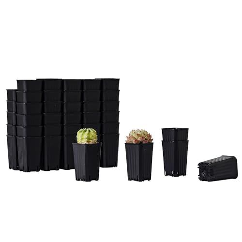 60 Pack 1.95 Inch Tiny Black Plastic Square Nursery and Seedling Pot, Mini Deep Transplant Seed Starter Planter with Drain Hole for Germination, Herb, Succulent - color: Black
