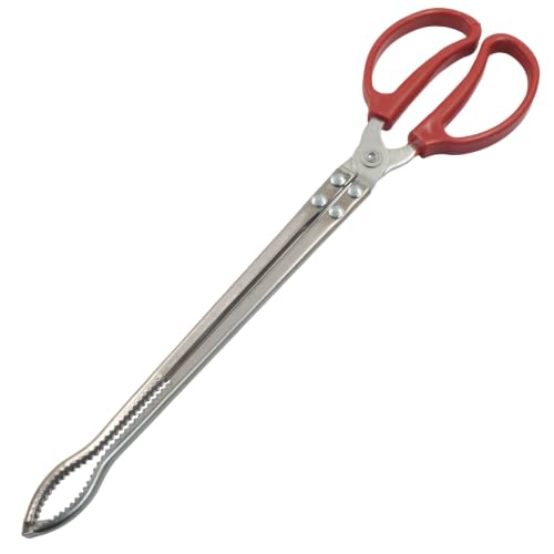 15 Inch Snake Feeding Tongs, Curved Tip, Red - size: 14.6In