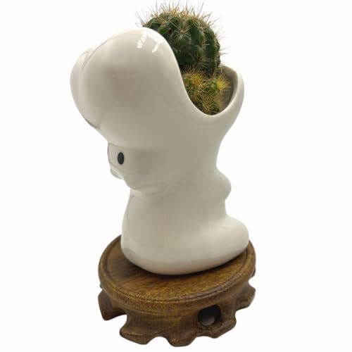 Cute Succulent Pots,White Ceramic Indoor Planters with Drainage and Wood Tray,Round Shallow Flower Plant Pots Decoration Hippo - style: Hippo